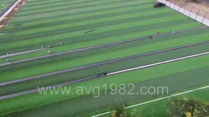 latest company news about AVGrass in the World Cultural Heritage—Daming Palace  5