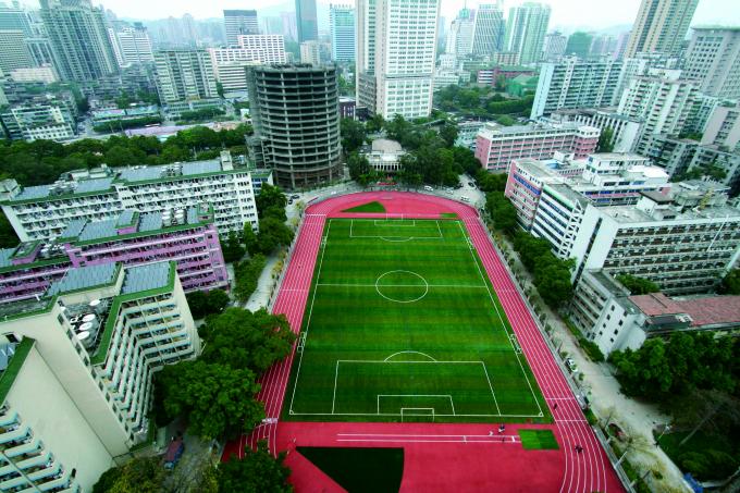 latest company news about Inner Mongolia Normal University Football Field  2