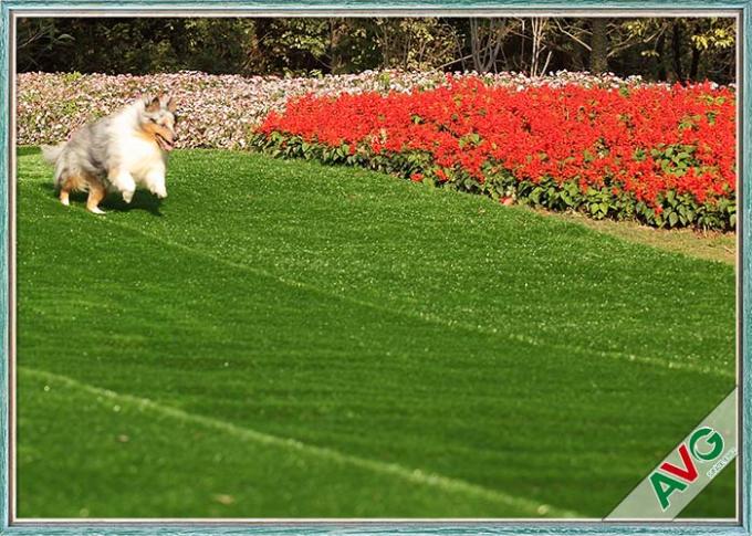 UV Resistant Dog Pet Artificial Turf / Synthetic Grass Eco Friendly Installation 0