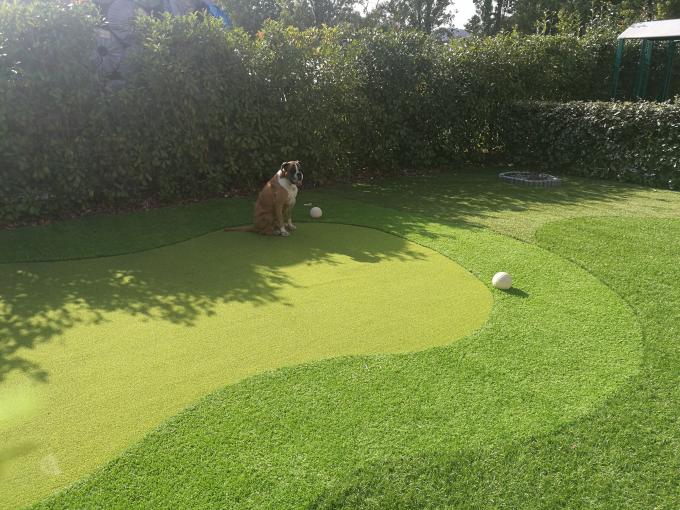 Synthetic Putting Green Golf Turf Grass Gateball Artificial 13m Height 0
