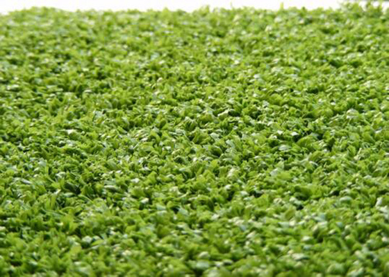 China Monofil PE Yarn Hockey Decorative Fake Grass Carpet 220 s/m Stitch 6600 Dtex supplier