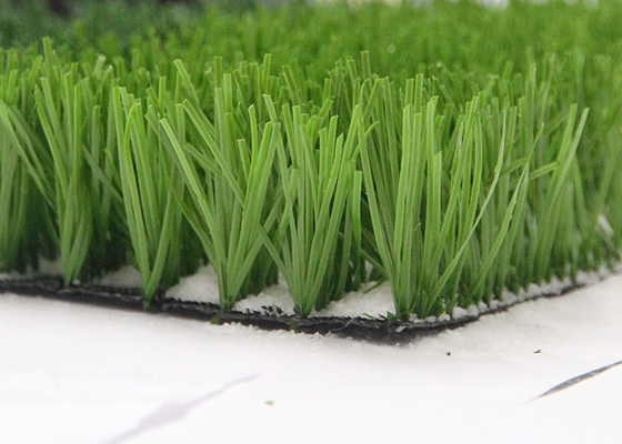 China Monofil PE Yarn Green Artificial Grass manufacturer For Sports , Football Field Artificial Turf supplier