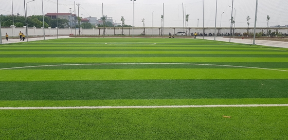 China 70mm Grass Carpets Synthetic Grass Artificial Grass For Football Field supplier