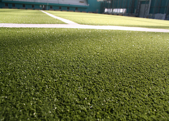 China Curly Sport Flooring Hockey Coloured Artificial Turf Fake Carpet Grass supplier