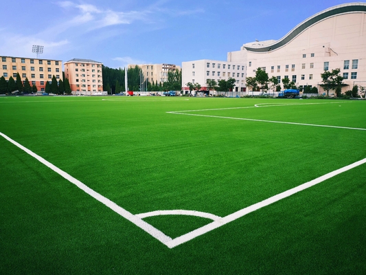 China Football Grass Artificial Grass For Football Soccer Grass Soccer supplier