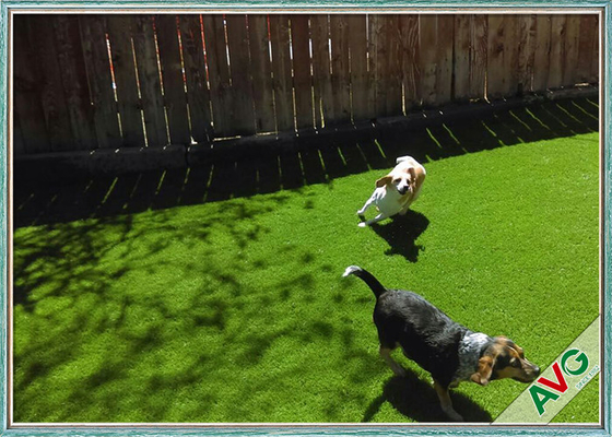 China 35 MM Friendly UV  Resistance Pet Artificial Turf / Synthetic Grass For Dog Playing supplier