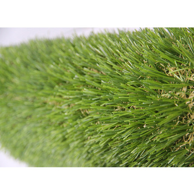 China C Type Natural Garden Artificial Grass 50mm Diameter 8 Years Warranty supplier