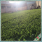 Landscape Grass Garden Pe Artificial Grass 40MM Gazon Artificiel supplier