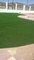 18900 Stitches /M2 Garden Artificial Grass 5/8'' For Swimming Pool supplier