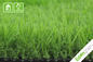Landscaping Mat Home Artificial Grass 20mm PP + Net Backing supplier