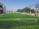 Artificial Football Grass Synthetic Turf For Soccer Field Floor Stem Yarn Artificial Grass supplier