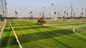 Artificial Grass Football Turf Grass Artificial Outdoor Artificial Lawn Grass Carpet 50mm supplier