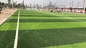 Quality Pro Approved Soccer Synthetic Turf Artificial Grass &amp; Sports Flooring 55mm supplier