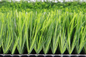 Quality Pro Approved Soccer Synthetic Turf Artificial Grass &amp; Sports Flooring 55mm supplier