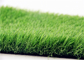 Healthy Wall Artificial Grass For Terrace Garden , False Garden Turf supplier