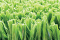 AVG High Grade Green Football Artificial Turf , Football Synthetic Grass Carpet supplier