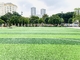 Green Turf Artificial Grass Synthetic Turf Natural Grass Artificial Grass Football supplier