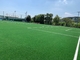 AVG Synthetic Turf For Football Grass Weather Fastness Artificial Grass Lawn supplier