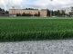 Woven Backing Soccer Turf Grass Aritificial For Football Field supplier