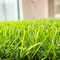 Artificial Garden Synthetic Turf Grass Flat Monofilament 35mm Height supplier