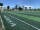 SGS 40mm Cesped Green Football Artificial Turf Fake Grass Soccer Court supplier