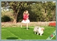 SBR Latex / PU Backing Pet Artificial Turf Eden Grass Recycled Synthetic Pet Grass supplier