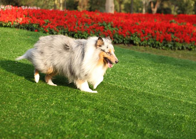 30MM Home Residential Pet Friendly Artificial Turf Durable Abrasive Resistance 0