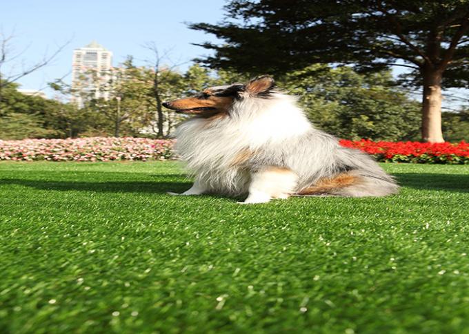 Waterproof Landscape Garden Pet Artificial Turf Fake Grass Carpet Long Lifespan 0