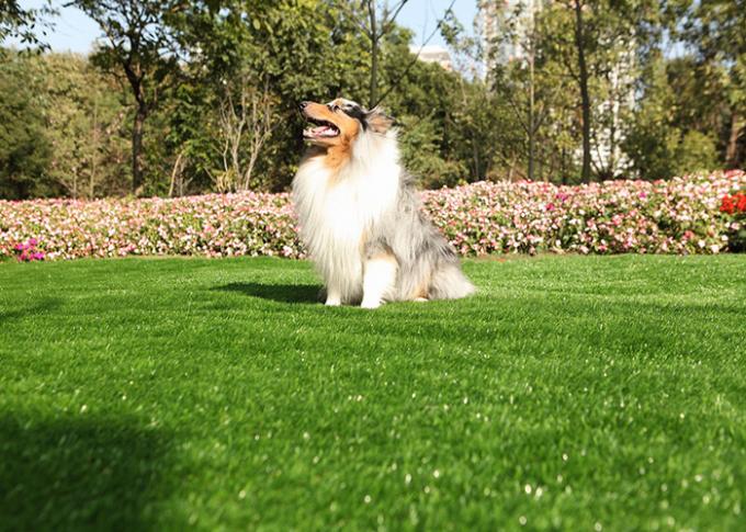Natural Looking Pet Artificial Turf Landscaping High Density Eco-Friendly 0
