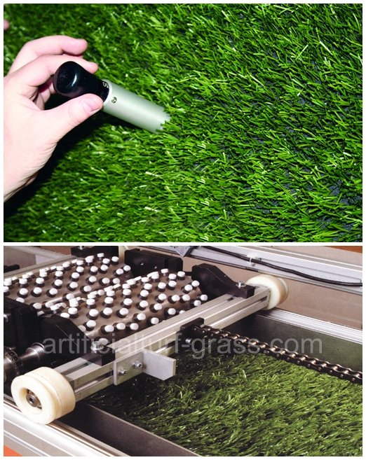 All Victory Grass (Guangzhou) Co., Ltd quality control 0