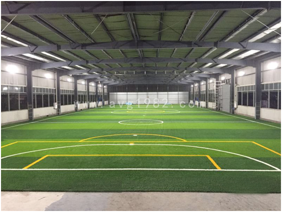 latest company news about Swing in the wind! Sports field installed with AVG S-shape monofilament yarns has amazed Yubei District of Chongqing in Southwest China.  1
