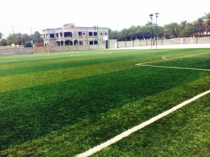 latest company news about Inner Mongolia Normal University Football Field  0