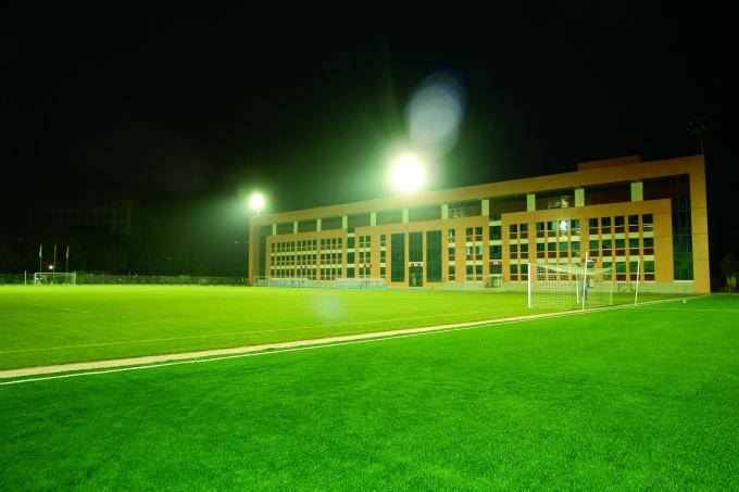 latest company news about Soccer Field Project  0