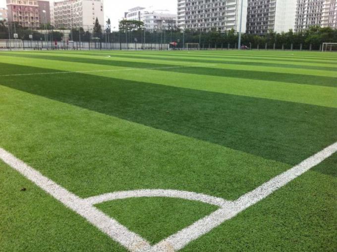 latest company news about Soccer Field Project  1