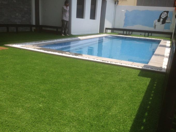 latest company news about Residential Grass In USA  0
