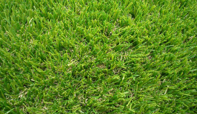 latest company news about Comparison between synthetic football grass and real grass  2