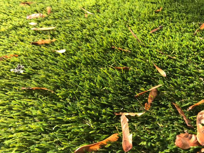 Garden Artificial Carpet Grass Roll 25mm Natural Color 0