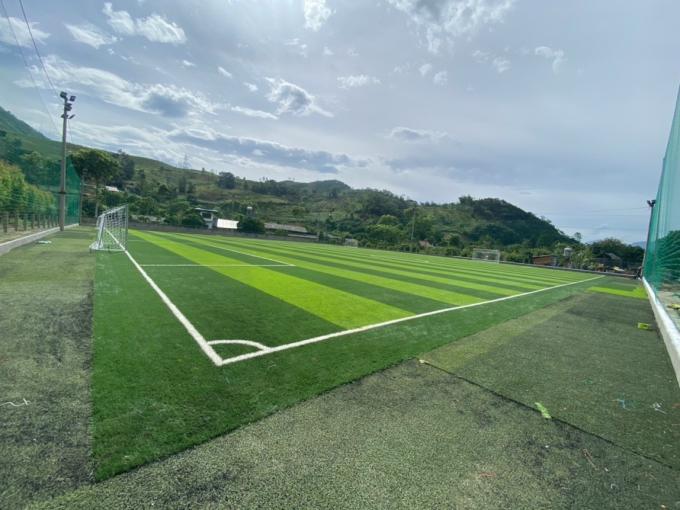 55mm Height Professional Standard Football Artificial Turf 2.0m Roll Width 0