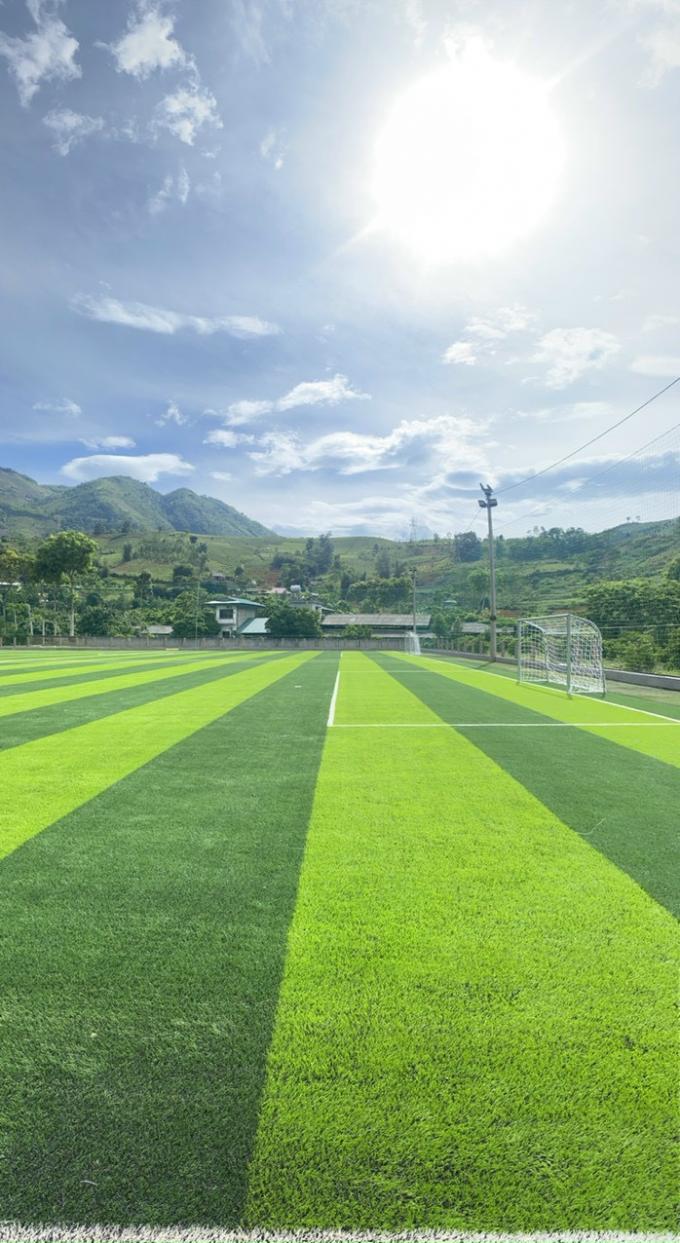 Durable Artificial Football Grass Soccer Field 50mm Height 0