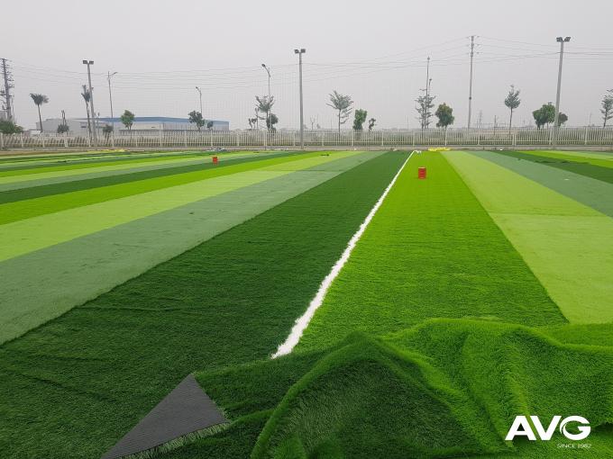 Artificial Grass Carpet Fake Grass Sports Flooring 55mm For Football Court 0