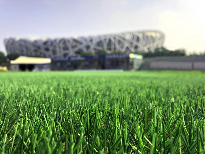 Football Natural Grass Turf Artificial Lawn Woven 50mm Height 0