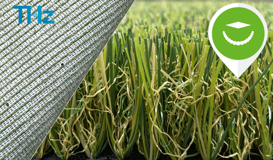 China Green Color Indoor Plastic Lawn Landscaping Synthetic Artificial Turf Carpet Grass THZ Backing supplier