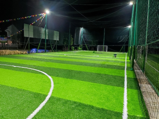 China SGS Diamond 66 Sports Football Artificial Turf 50m Height supplier