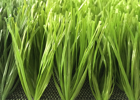 China 50mm Double Spined Soccer PE Material Artificial Grass Bi-color Excellent Standing Matte Appearance supplier