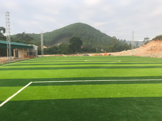 China Football Grass Football Grass 55mm Sports Turf Artificial Grass supplier