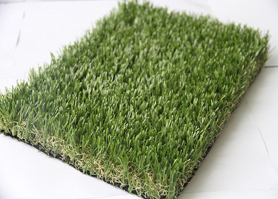 China Professional Attractive Artificial Pet Turf False Grass Perfect Leisure Carpet supplier