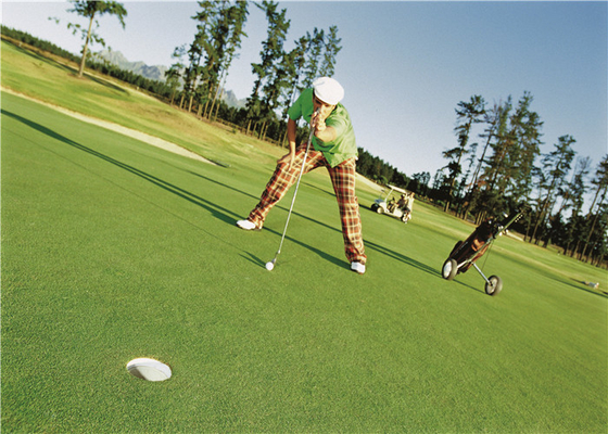 China Curly High Density Artificial Grass For Golf Putting Green , Golf Fake Grass supplier