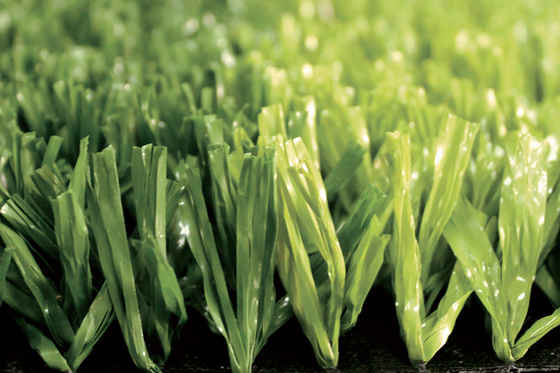 China AVG High Grade Green Football Artificial Turf , Football Synthetic Grass Carpet supplier
