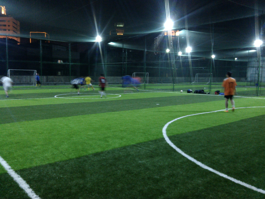 China Indoor Soccer / Football Artificial Grass 13000 Dtex Environment Friendly supplier