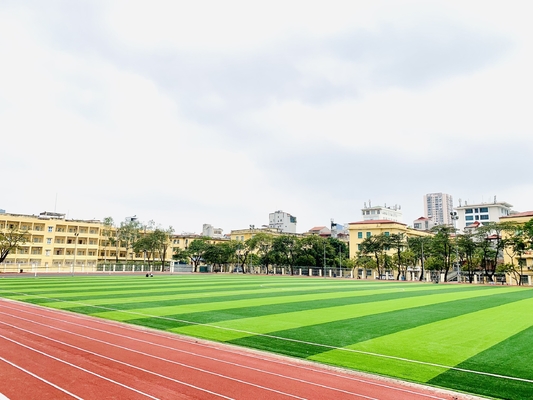 China Soccer Cesped Artificial Futbol Grass football field artificial turf For Football Ground supplier